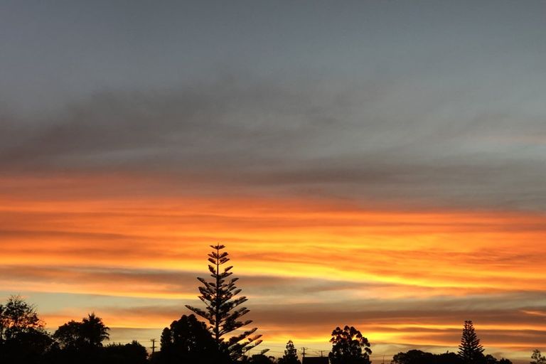 Photo of property in 11/8 Monte Cassino Place, Birkdale, Auckland, 0626