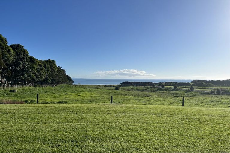 Photo of property in 239 Clarks Beach Road, Clarks Beach, Pukekohe, 2679
