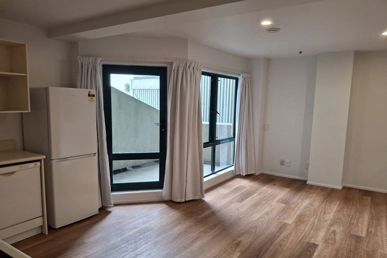 Photo of property in Courtenay Apartments, 208/120 Courtenay Place, Te Aro, Wellington, 6011