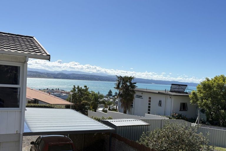 Photo of property in 1/4 George Street, Hospital Hill, Napier, 4110