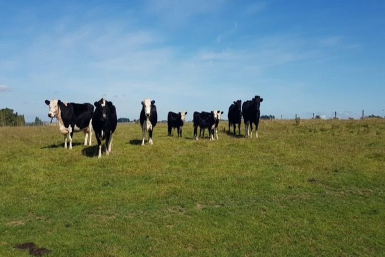 Photo of property in 203 Kelvin Road, Waimumu, Gore, 9774