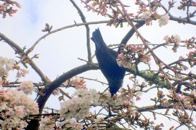 Photo of property in 43 Morero Terrace, Taumarunui, 3920