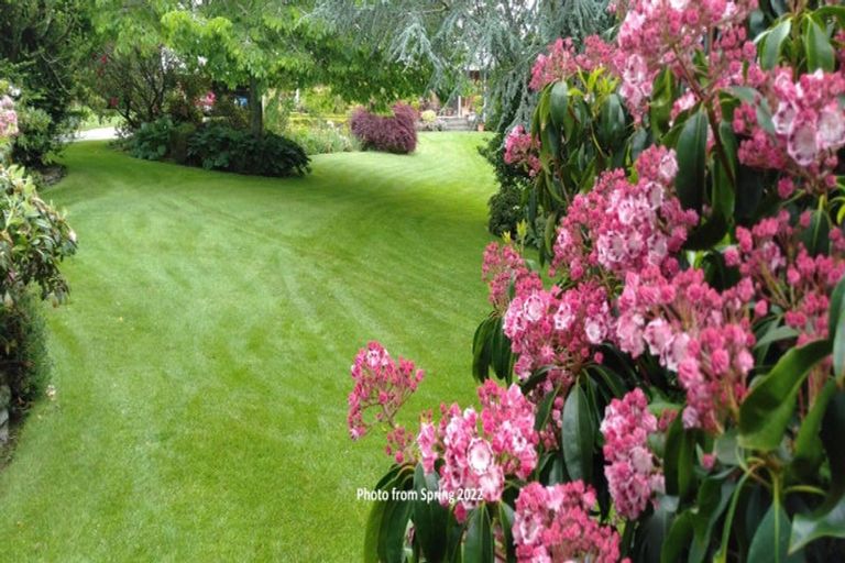 Photo of property in 172 Lepper Road, Inglewood, 4386