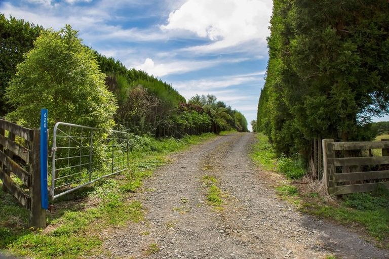 Photo of property in 620 Frankley Road, Hurworth, New Plymouth, 4371