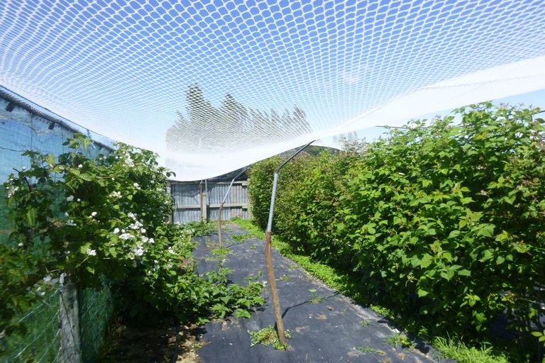 Photo of property in 7 Opuha Street East, Orari, Geraldine, 7992