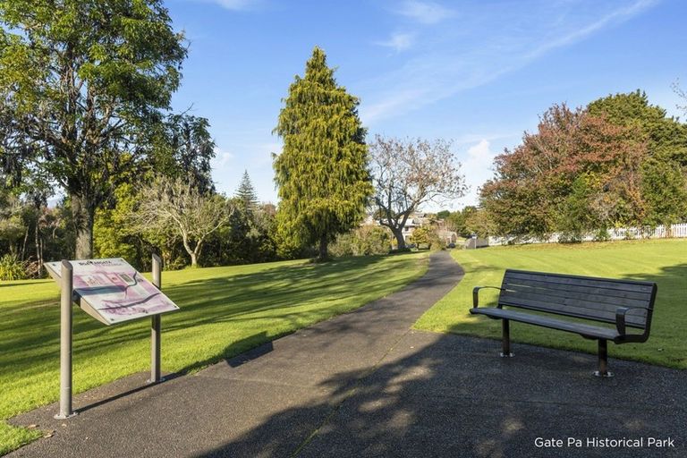 Photo of property in 1 Ward Street, Gate Pa, Tauranga, 3112