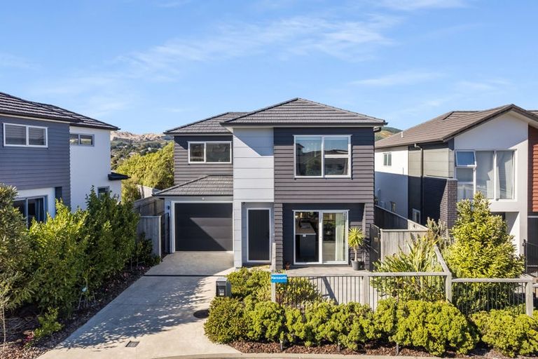 Photo of property in 166a John Burke Drive, Aotea, Porirua, 5024