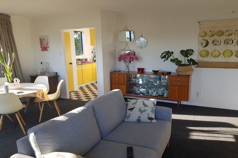 Photo of property in 45a Hibiscus Avenue, Hamilton Lake, Hamilton, 3204