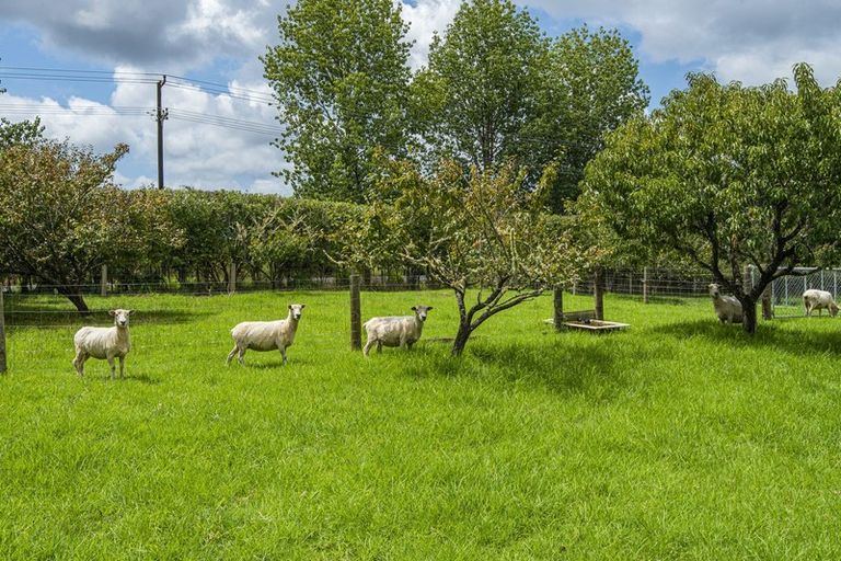 Photo of property in 66 Saleyards Road, Kauri, Kamo, 0185