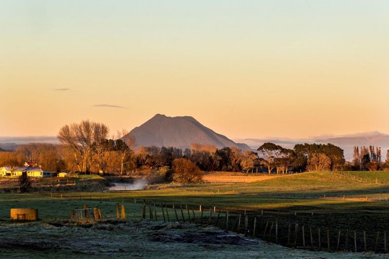 Photo of property in 62 Pacific Parade, Coastlands, Whakatane, 3120