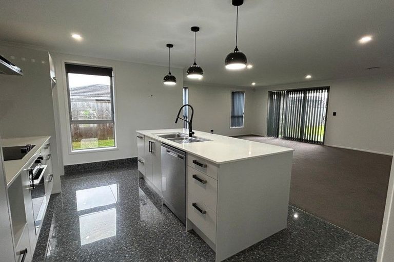 Photo of property in 38 Escotts Road, Tuakau, 2121