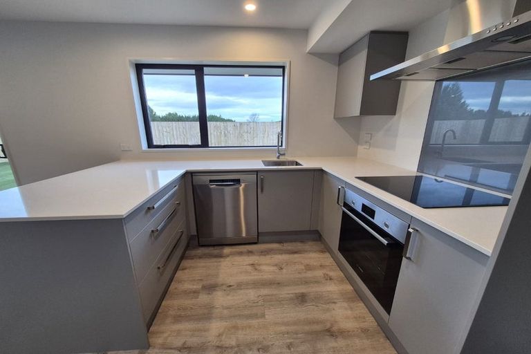 Photo of property in 17 Nancy Wake Street, Rolleston, 7678