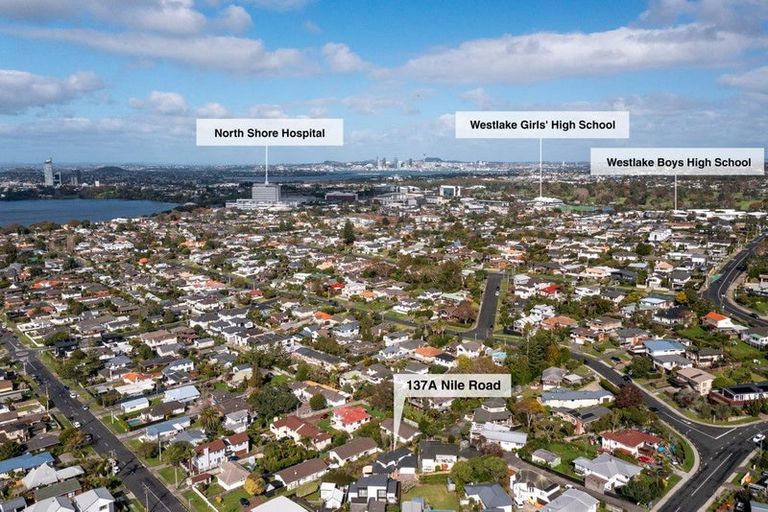 Photo of property in 1/137 Nile Road, Milford, Auckland, 0620