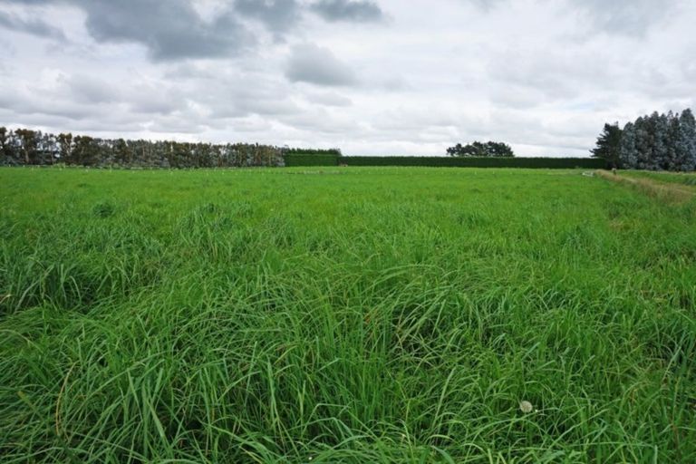 Photo of property in 535 Mill North, Roslyn Bush, Invercargill, 9876