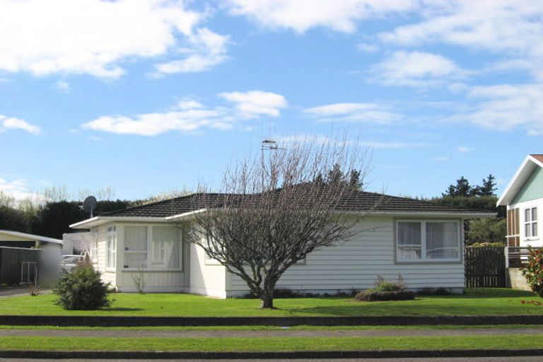 Photo of property in 61 Kennedy Drive, Levin, 5510