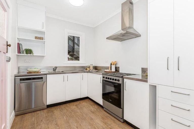 Photo of property in Trinity Newman, 56 Adams Terrace, Aro Valley, Wellington, 6021