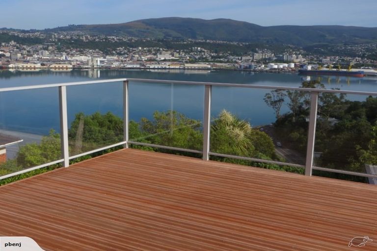 Photo of property in 107 Larnach Road, Vauxhall, Dunedin, 9013