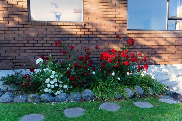 Photo of property in 283b Scarborough Street, Kaikoura, 7300