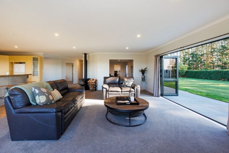 Photo of property in 408 Aranui Road, Kairanga, Palmerston North, 4475