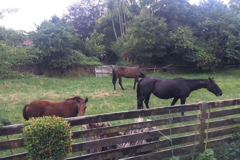 Photo of property in 203a Popes Road, Takanini, 2105