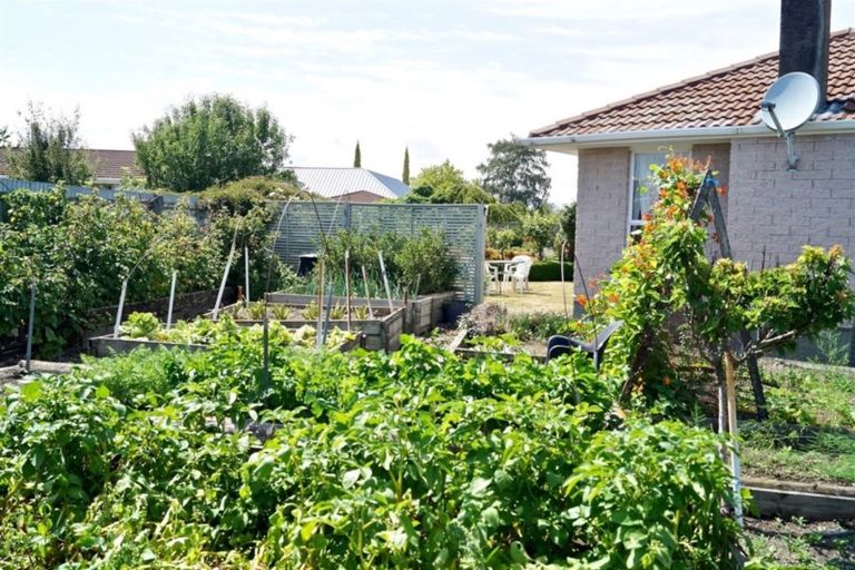 Photo of property in 21 Montrose Avenue, Culverden, 7392