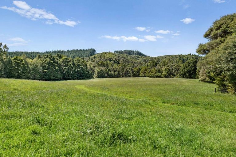 Photo of property in 241a Ararimu Valley Road, Helensville, Waimauku, 0882