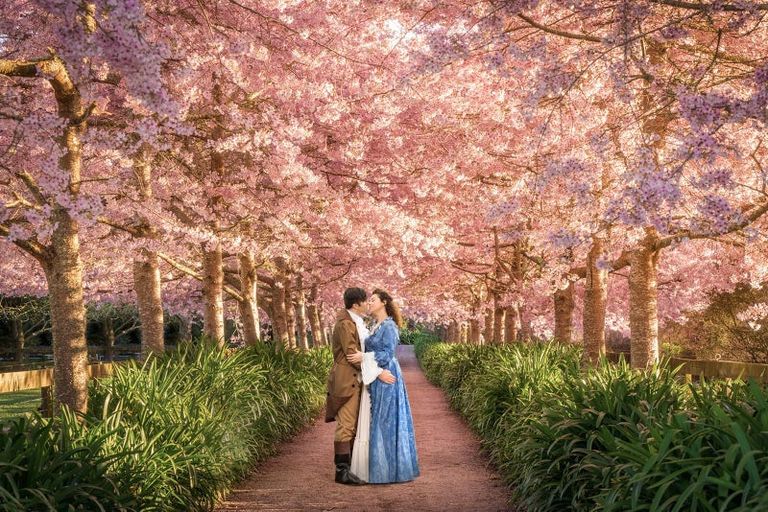 Photo of property in 125 Matangi Road, Matangi, Hamilton, 3284