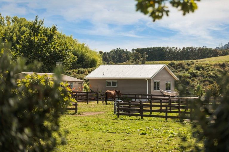 Photo of property in 126 Willoughby Road, Tahawai, Katikati, 3170