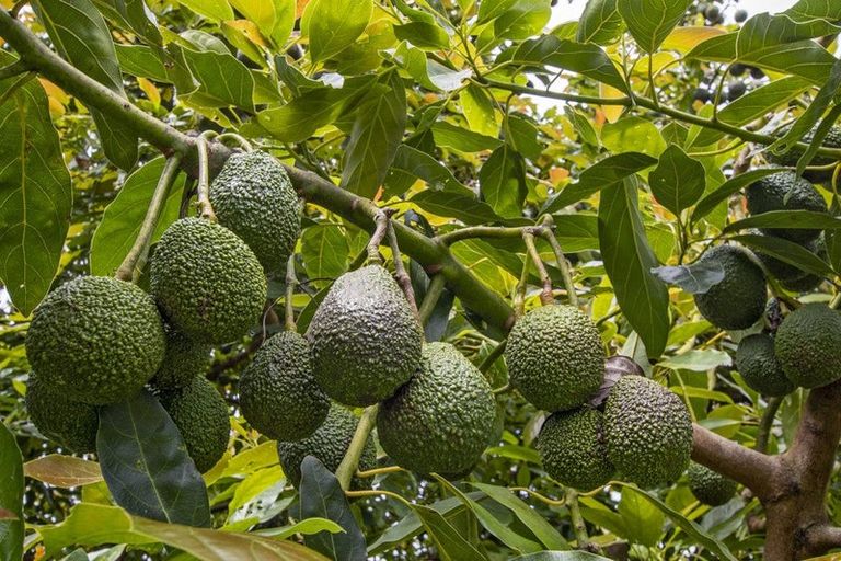 Photo of property in 31 Golf Harbour Drive, Maunu, Whangarei, 0179