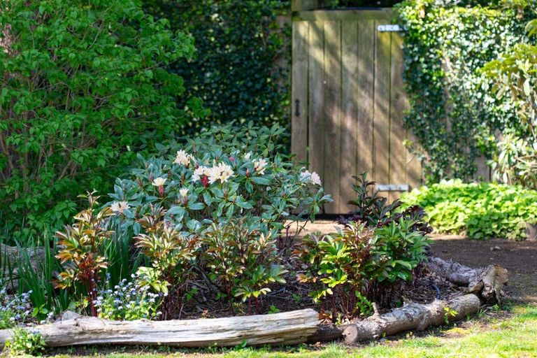 Photo of property in 34 Ruahine Street, Dannevirke, 4930