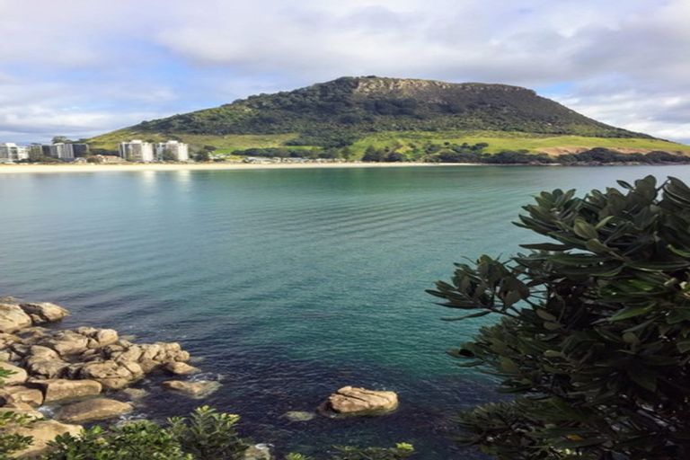 Photo of property in 44 Concord Avenue, Mount Maunganui, 3116