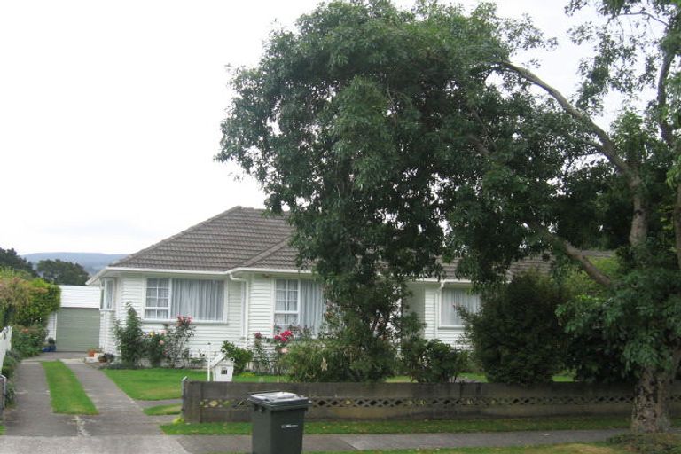 Photo of property in 61 Clyma Street, Elderslea, Upper Hutt, 5018