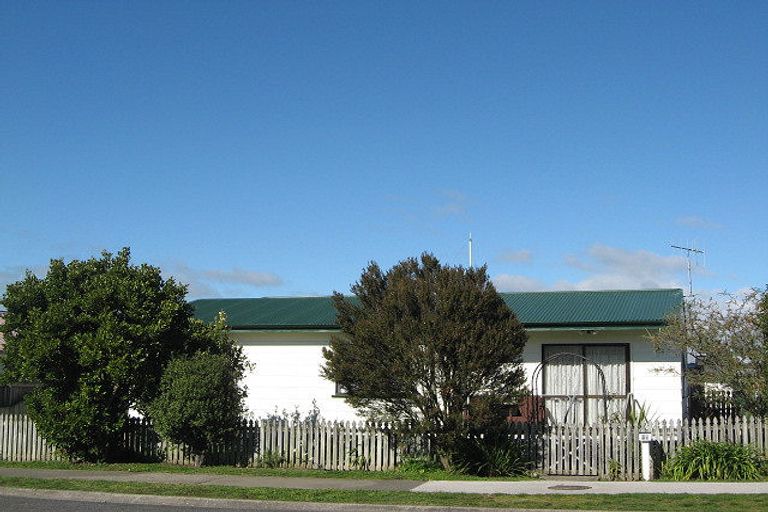 Photo of property in 20a Svenson Road, Waipukurau, 4200