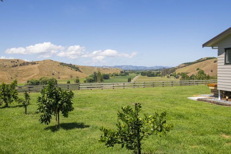 Photo of property in 909a Wharekopae Road, Ngatapa, Gisborne, 4072