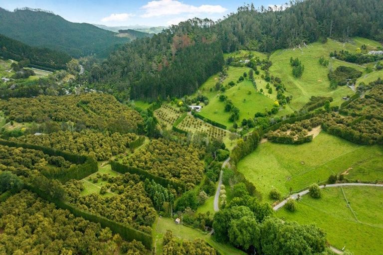 Photo of property in 41d Waiau Road, Athenree Gorge, Katikati, 3177