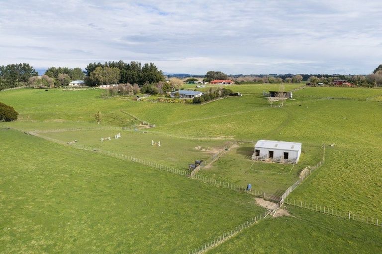 Photo of property in 780 Halcombe Road, Halcombe, 4775