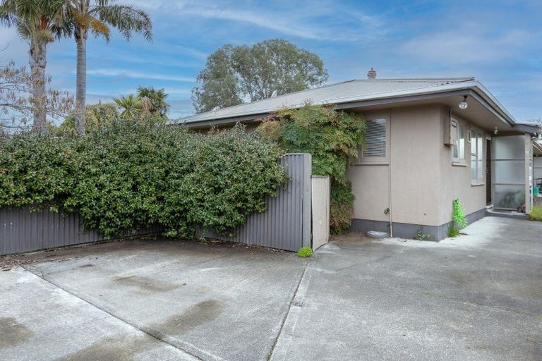 Photo of property in 51a Mcgrath Street, Napier South, Napier, 4110