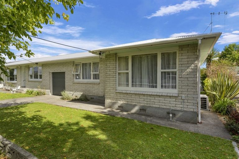 Photo of property in 149 Winchester Street, Levin, 5510