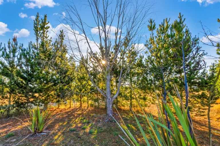 Photo of property in 604 Downs Road, Eyrewell, Rangiora, 7476