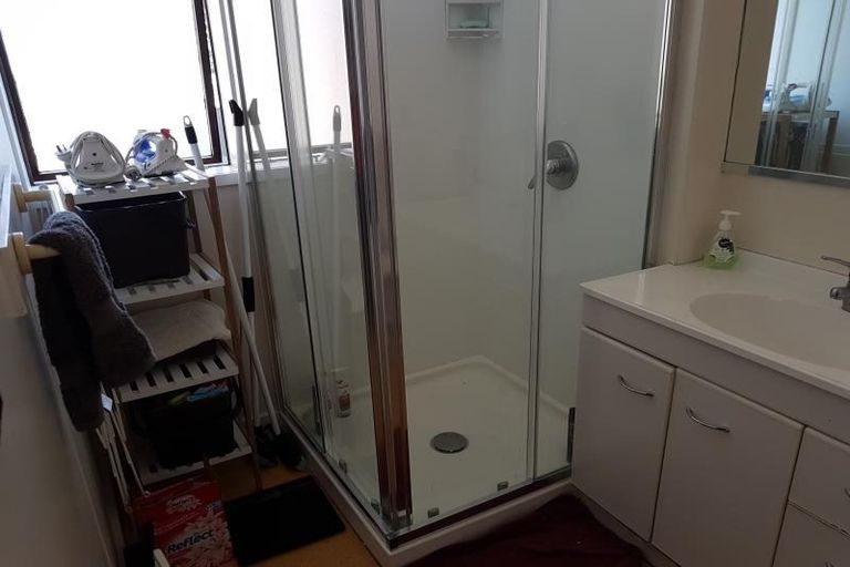 Photo of property in Te Awhina Apartments, 3/22 Sussex Street, Mount Cook, Wellington, 6021