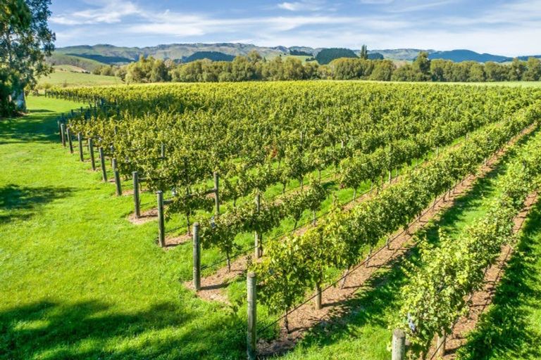 Photo of property in 1114 Omihi Road, Omihi, Amberley, 7483