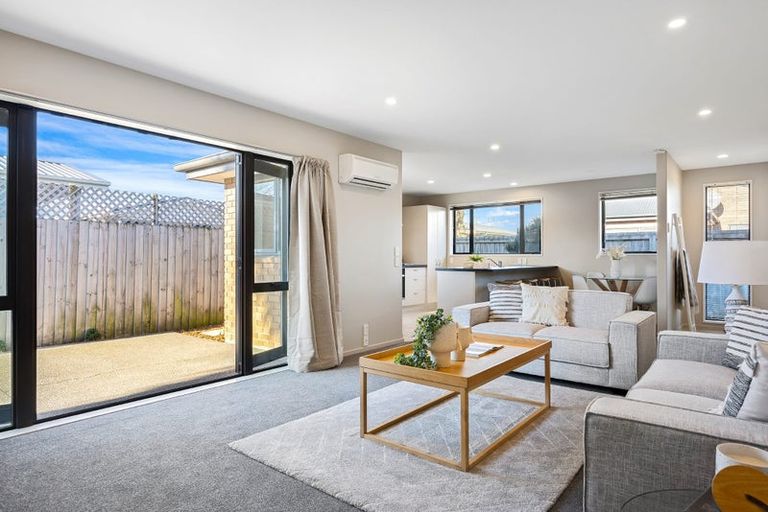 Photo of property in 93 Edinburgh Street, Spreydon, Christchurch, 8024