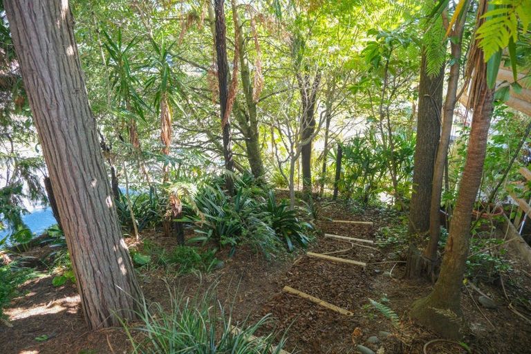 Photo of property in 81 Springfield Road, Springfield, Rotorua, 3015