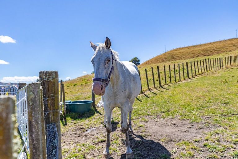 Photo of property in 12 Pipitiera Street, Taumarunui, 3992