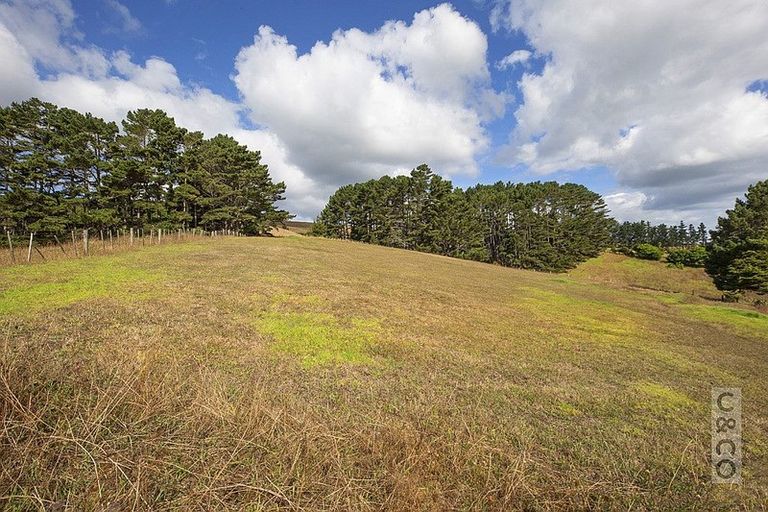 Photo of property in 231 Taiapa Road, Muriwai, Waimauku, 0881