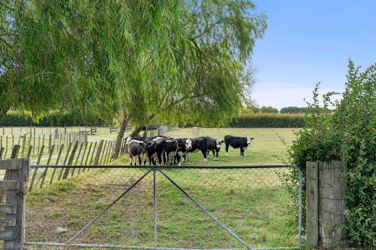 Photo of property in 77 Bruce Road, Levin, 5510