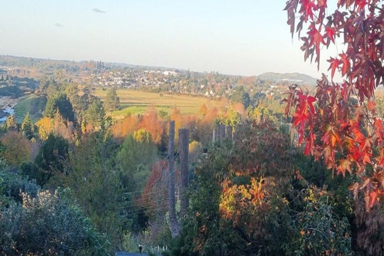 Photo of property in 377 Cambridge Road, Tauriko, Tauranga, 3110