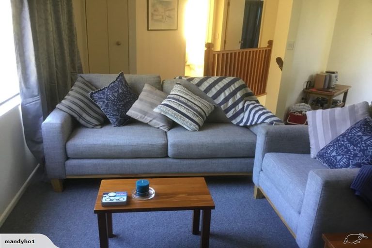 Photo of property in 106 Jeffries Road, Rapaura, Blenheim, 7273