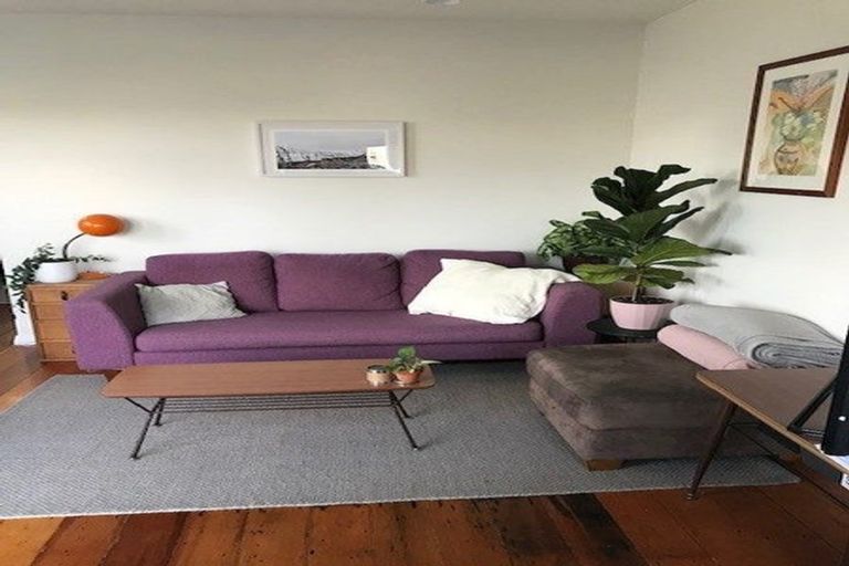 Photo of property in 114 Austin Street, Mount Victoria, Wellington, 6011