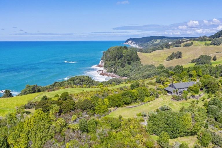 Photo of property in 339 Onemana Drive, Onemana, Whangamata, 3691